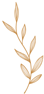 Feuille